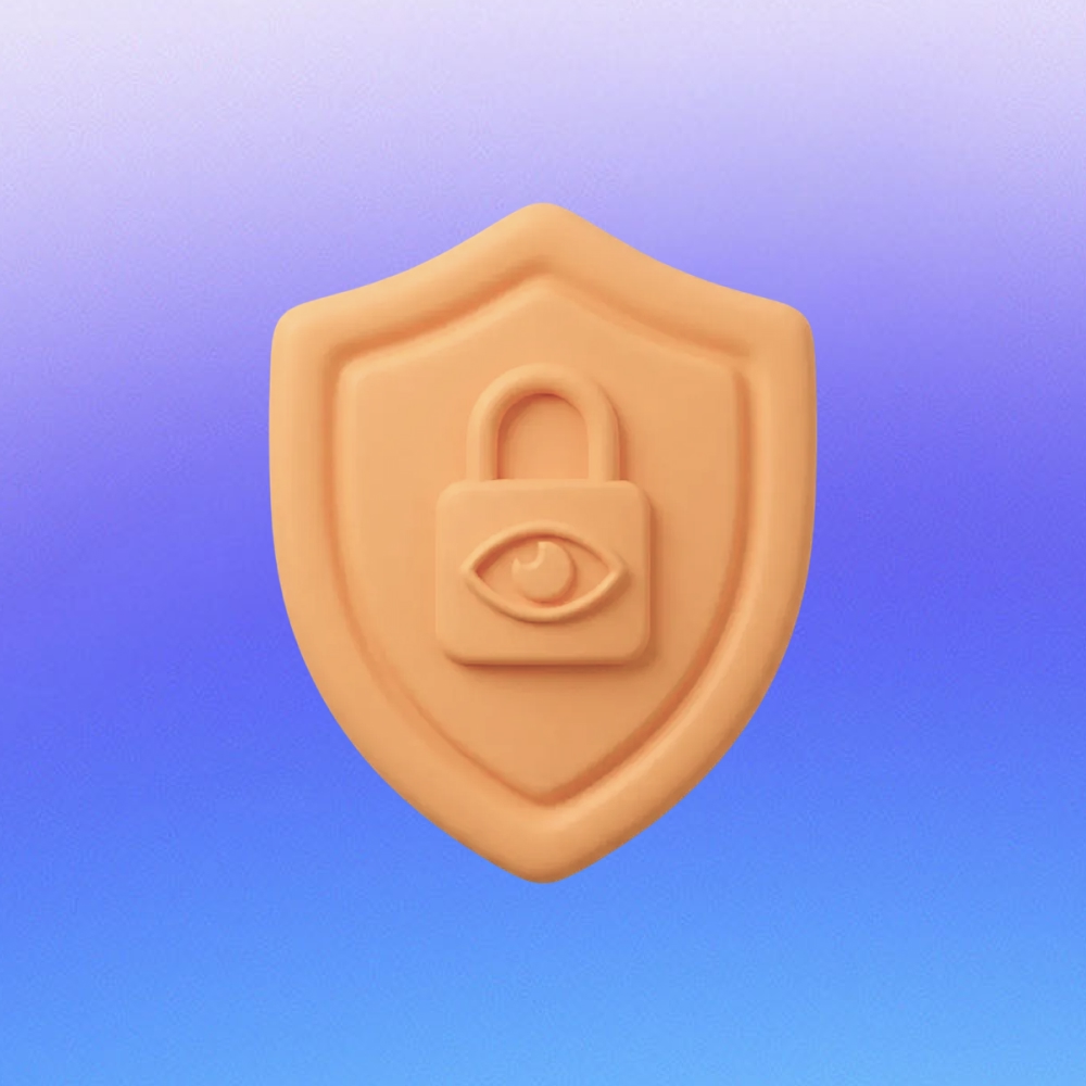 Privacy, Security & Deployment Options (Cloud or Controlled Environments)